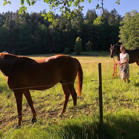 Finas Torpgard B&K Bed & Breakfast Gallinge Bagian luar foto